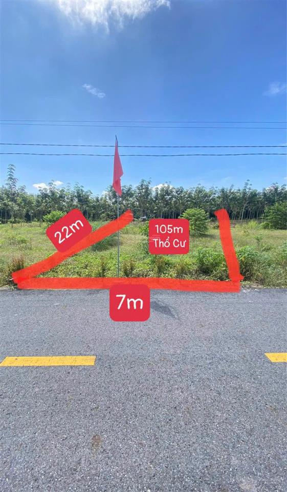 Cần bán lô đất đẹp đường nhựa 10m ngay chợ an thái đi vào 100m, tp.hcm giá 530 triệu sổ hồng riêng.