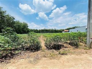 Anh tính bán gấp lô đất sau chợ an linh 424m2 + 100 thổ cư giá 580 triệu khu dân cư hiện hữu