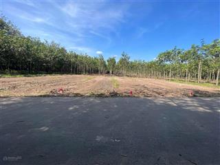 Cần bán lô đất 348m2 + 100m tc gần ubnd tân hiệp, dân cư đông, giá 520 triệu còn tl, sổ riêng