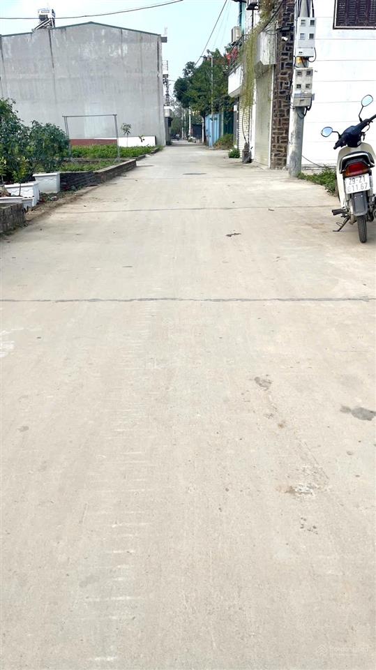 Đất tổ 9 ấp tre quang minh mê linh