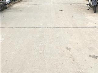 Đất tổ 9 ấp tre quang minh mê linh