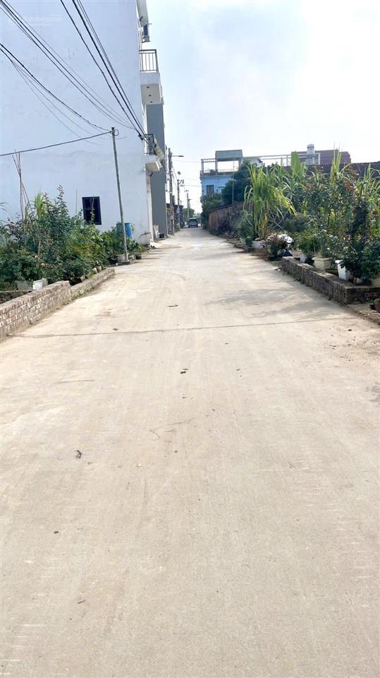 Đất tổ 9 ấp tre quang minh mê linh