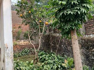 Nhà riêng tại xã phật tích, tiên du, bắc ninh, 30 triệu/m2, 1246 m2 nơi an lành gần từ sơn, bn