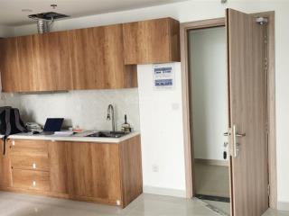 Cho thuê căn hộ chung cư citi alto d mới bàn giao, sạch sẽ, tiện ích hồ bơi, phòng gym