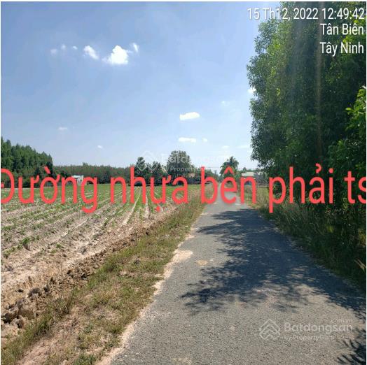 Giảm 300triệu  bán nhà mt nguyễn thị lan, 7.65 tỷ, 26052m2, tân biên, tây ninh, giá tốt uy tín