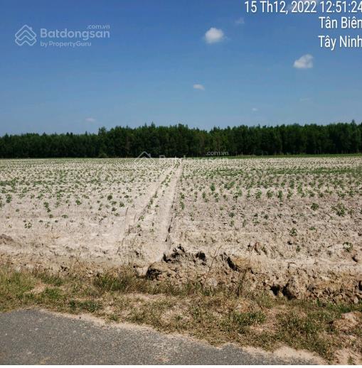 Giảm 300triệu  bán nhà mt nguyễn thị lan, 7.65 tỷ, 26052m2, tân biên, tây ninh, giá tốt uy tín