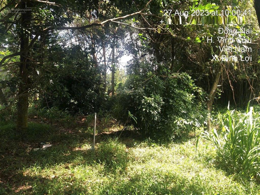 Bán đất diện tích khủng 2292m2 (thổ 100m2). tận 2 mặt đường trước sau tại vĩnh cửu, đồng nai