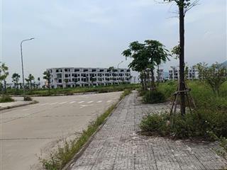 Bán lô đất 85m2 tại felicity trưng vương vị trí lô đất tọa lạc gần trục chính nội khu của dự án