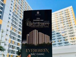 Chính chủ bán căn chung cư thương mại evergreen tòa ct3.3