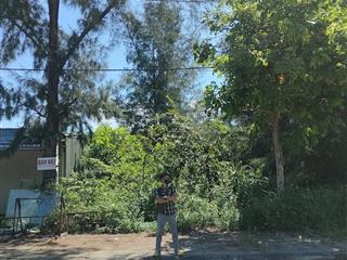 Cần bán đất full thổ cư mặt tiền dọc tuyến đường bãi biển tình yêu