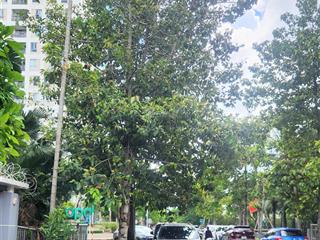 Đầu tư gọi em bán nhà 100m2 khu bên sông đường nhựa thông cổng sau gigamall hiệp bình chánh hơn 6t