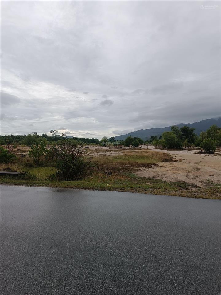 Bán 14000m2 đất trồng cây(100m  140m) hai mặt tiền nhựa chân mây