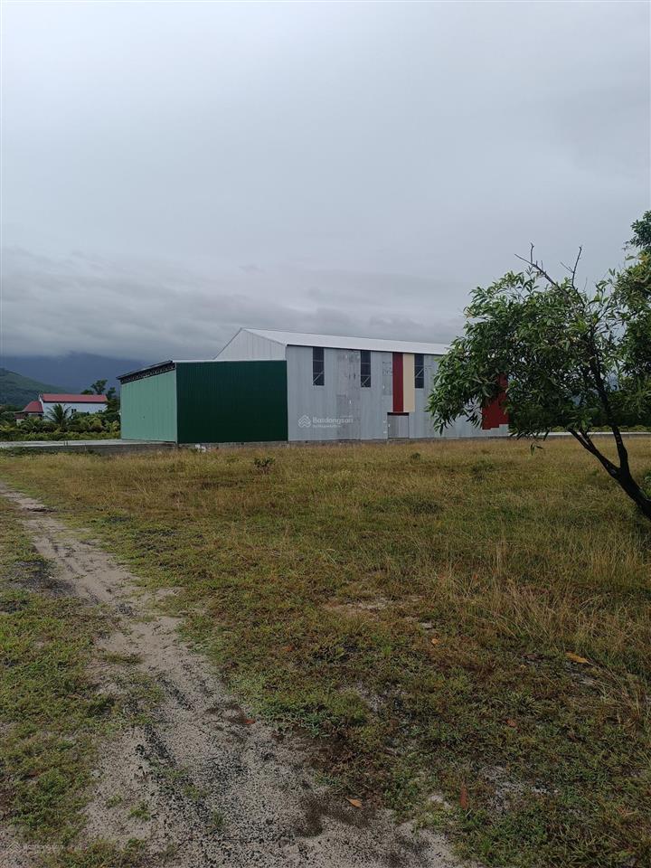 Bán 14000m2 đất trồng cây(100m  140m) hai mặt tiền nhựa chân mây