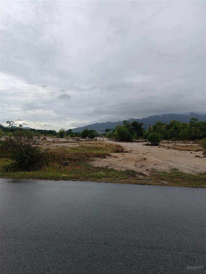 Bán 14000m2 đất trồng cây(100m  140m) hai mặt tiền nhựa chân mây