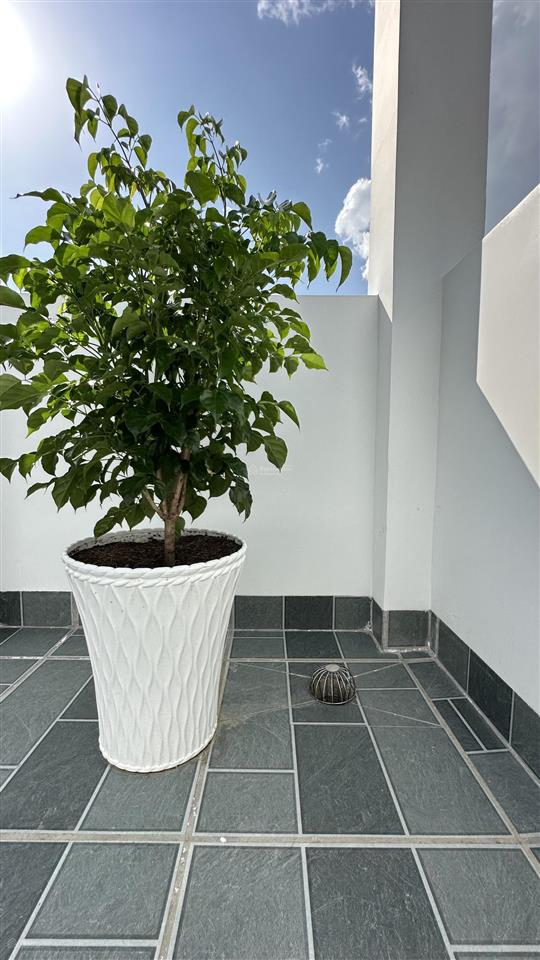 Bán nhà mới 3 tầng 4x22m 4 phòng ngủ tại phước tân, đồng nai. sổ riêng full thổ cư, full nội thất