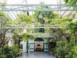 Hiếm có! biệt thự 400m2 phố đội cấn giá 90 tỷ