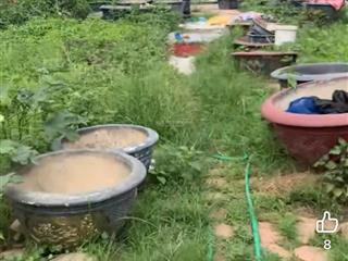 Cho thuê đất mặt đê quai nhật tân, 450m ô tô tránh gần kho ghn có nhà cấp 4