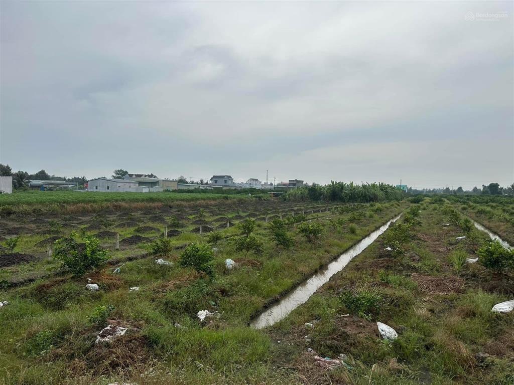 Bán 4.300m2 đất vườn mt kênh (được chuyển thổ cư)