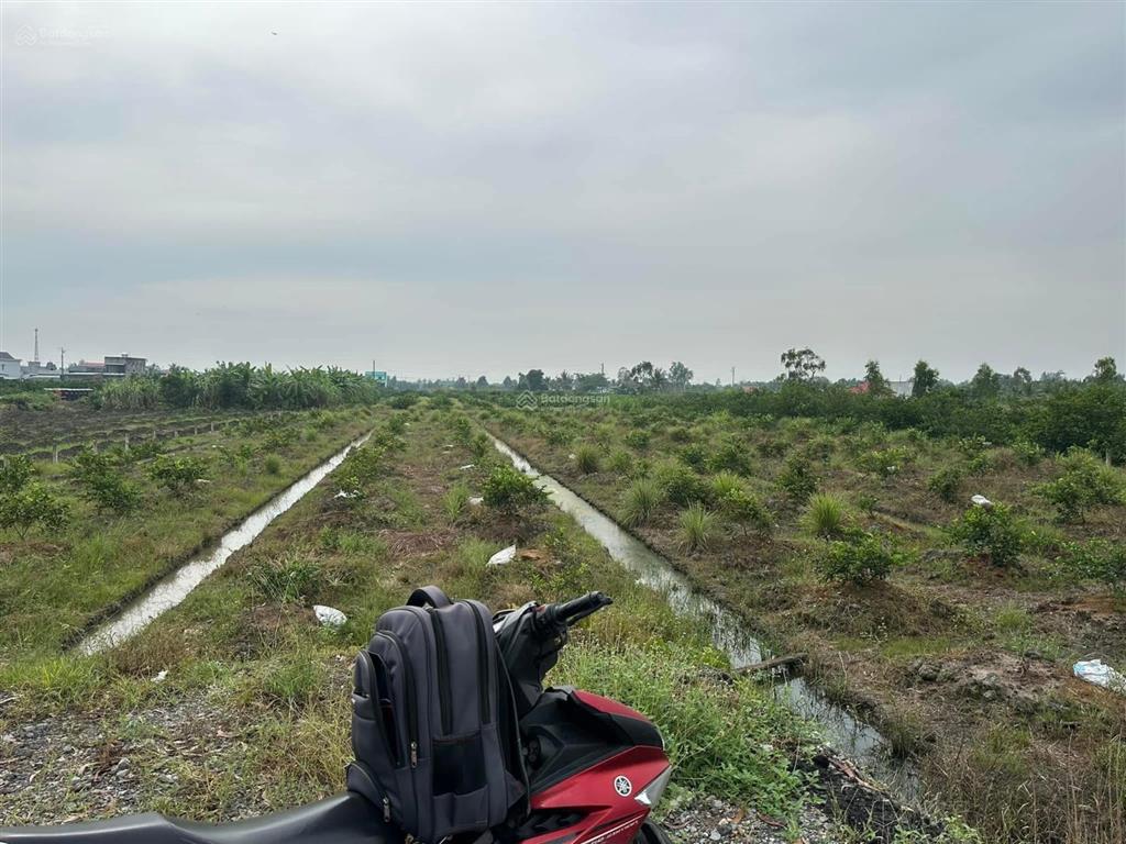Bán 4.300m2 đất vườn mt kênh (được chuyển thổ cư)