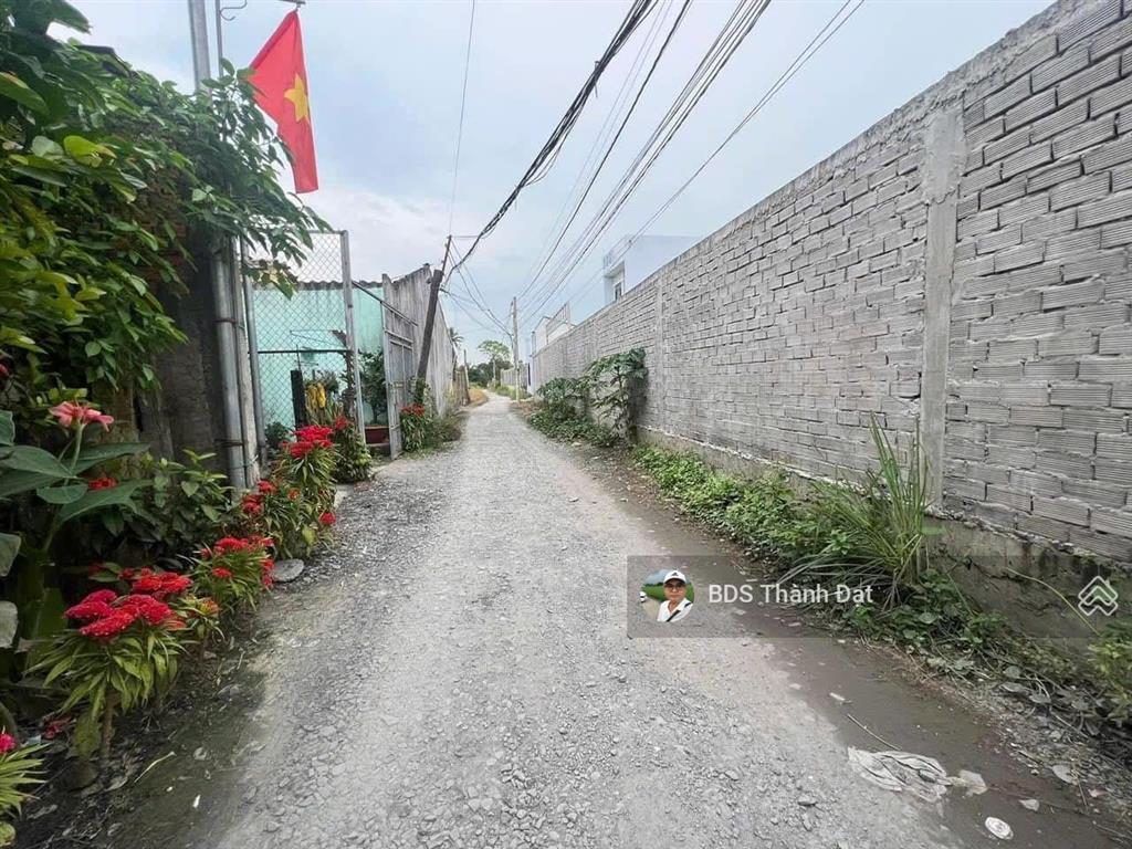 1045m2 lúa (có 203m2 thổ)  kp9 bến lức