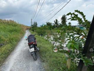 1045m2 lúa (có 203m2 thổ)  kp9 bến lức