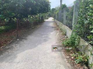 1200m2 nhựt chánh  bến lức (có sẵn 300m2 thổ) đường thông xe tải