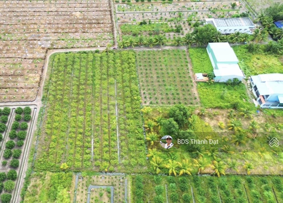 900m2 đất vườn (có sẵn 300m thổ cư). ấp 1, bình đức. xe hơi ngay đất
