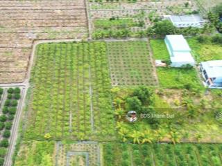 3100m2 đất vườn (chuyển thổ cư). ấp 1, bình đức. xe hơi ngay đất