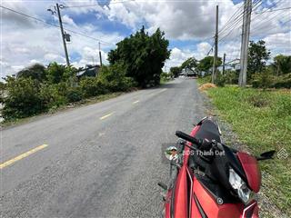 10x55m thổnhựa cao thị mai, tân trụ. nền cao