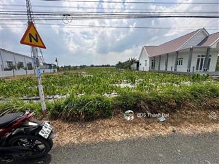 Đất thổ 5x40m. nhựa nhựt chánh mỹ bình. bến lức