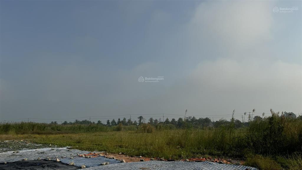 Bán 21,4 ha đất cụm công nghiệp mỹ hiệp cao lãnh giá tốt