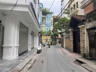 Nhà đẹp quận ba đình, kinh đoanh đỉnh, ngõ thông ô tô tránh, giá 102, nhà mới, giá chỉ 300tr/m2
