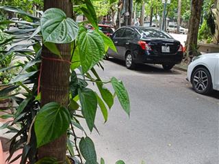 Ngụy như kon tum văn phòng kinh doanh  ôtô 50m, 4 tầng, mặt tiền 4.2m chào 17.5 tỷ thanh xuân.