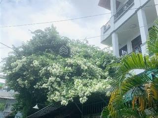 Biệt thự 5 tầng thang máy  nguyễn văn săng  gần âu cơ  265m2(9.2x30m)  giá 28 tỷ