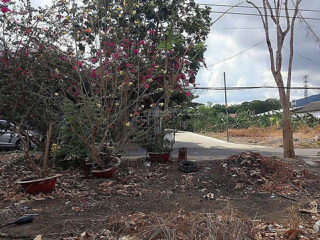 Bán đất đẹp trung tâm mỹ xuân phường phú mỹ  tp. hồ chí minh