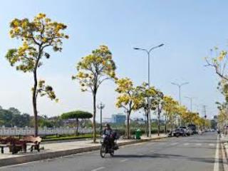 Bán đất tại nguyễn du, đông kinh, lạng sơn, 67 triệu / m2, 250 m2