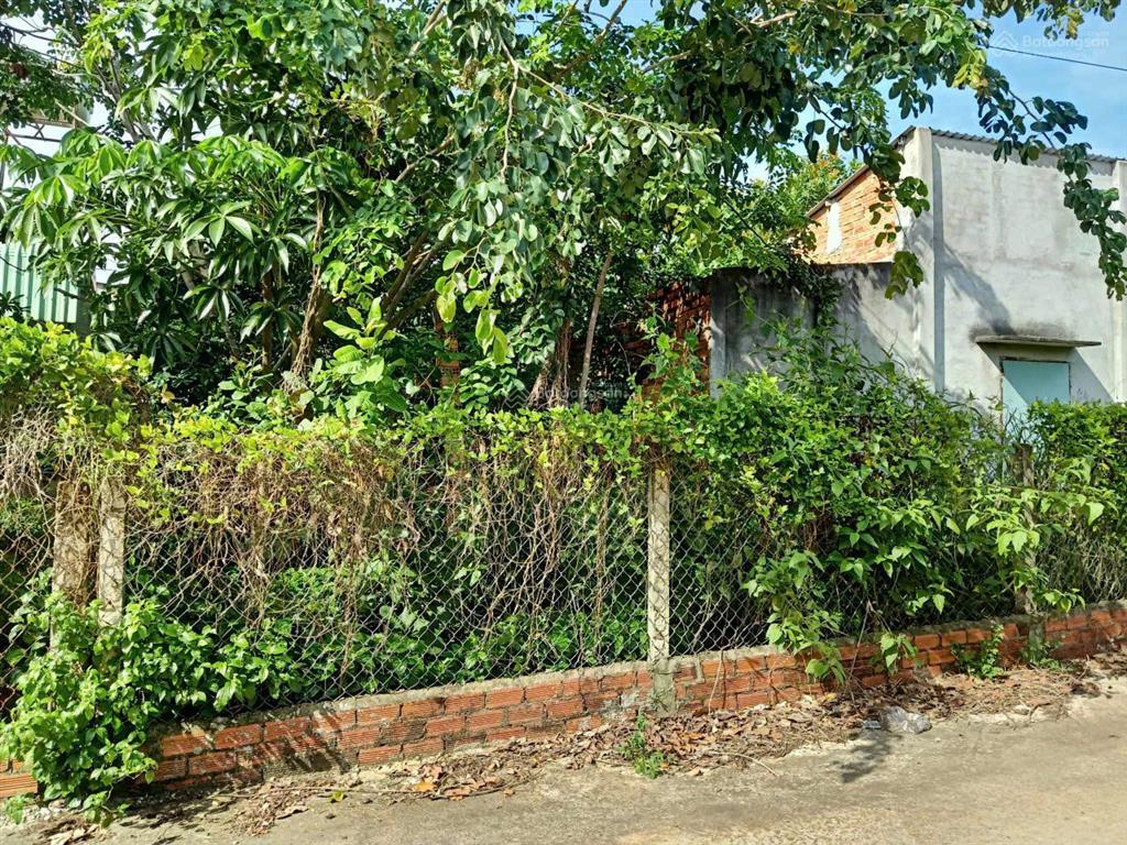 Chính chủ cần bán nhanh lô đất 617m² tại bàu lâm, xuyên mộc giá 46 tỷ, sổ riêng 0989 264 ***