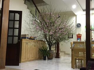 Bán gấp nhà riêng 3 tầng, 96m2 tại anh thành 1, yên phụ, tây hồ, 17,5 tỷ