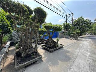 Bán nhà xưởng 2.866 m2  full thổ cư  2 mặt tiền đường thanh niên, bình chánh