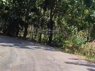 Bán 83818,9m2 36 tỷ 1/ tỉnh lộ dt988 (328) tân lâm, xuyên mộc, bà rịa