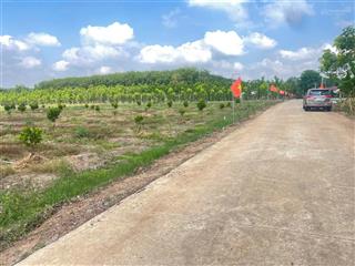 Bán đất tại đường dh507, xã an thái, phú giáo, bình dương, 700 triệu, 150 m2  giá tốt