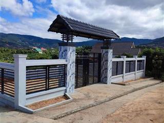 Đất thổ cư 250m2, 2 mặt tiền, đường chính quy hoạch 24m, hiện tại đường bê tông 2 ô tô tránh