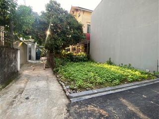 Chính chủ bán nhanh lô góc 50.8m2, 3 mặt thoáng, tặng kèm cây nhãn vào vụ