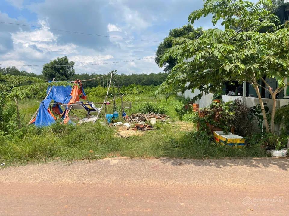 Thanh lý gấp lô đất mt điện hoa 24h, phước long a, q9. dt 80m2 siêu rẻ 1,675ty pháp lí rõ ràng.