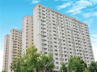 Bán căn hộ 1pn chung cư bình khánh, giá tốt