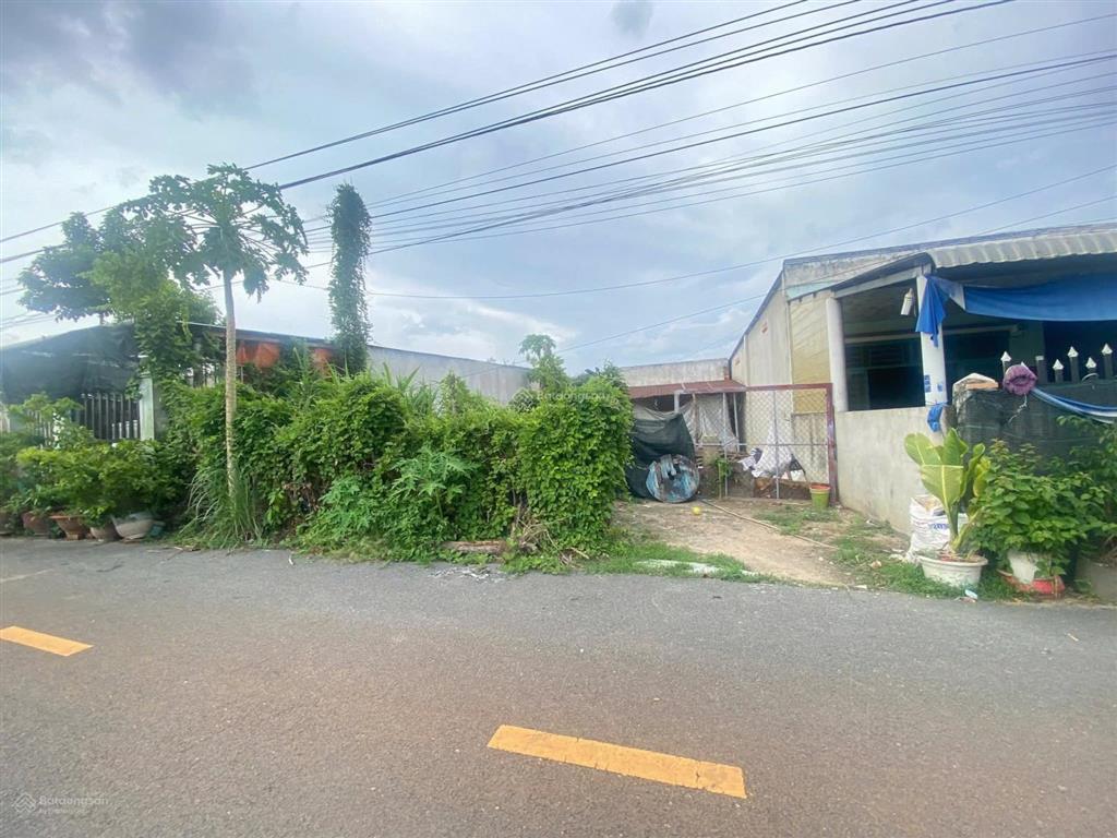 Thanh lý vội trong tuần này đất mt đường nhựa 8m, 120m2/435tr gần chợ long nguyên bàu bàng bd.