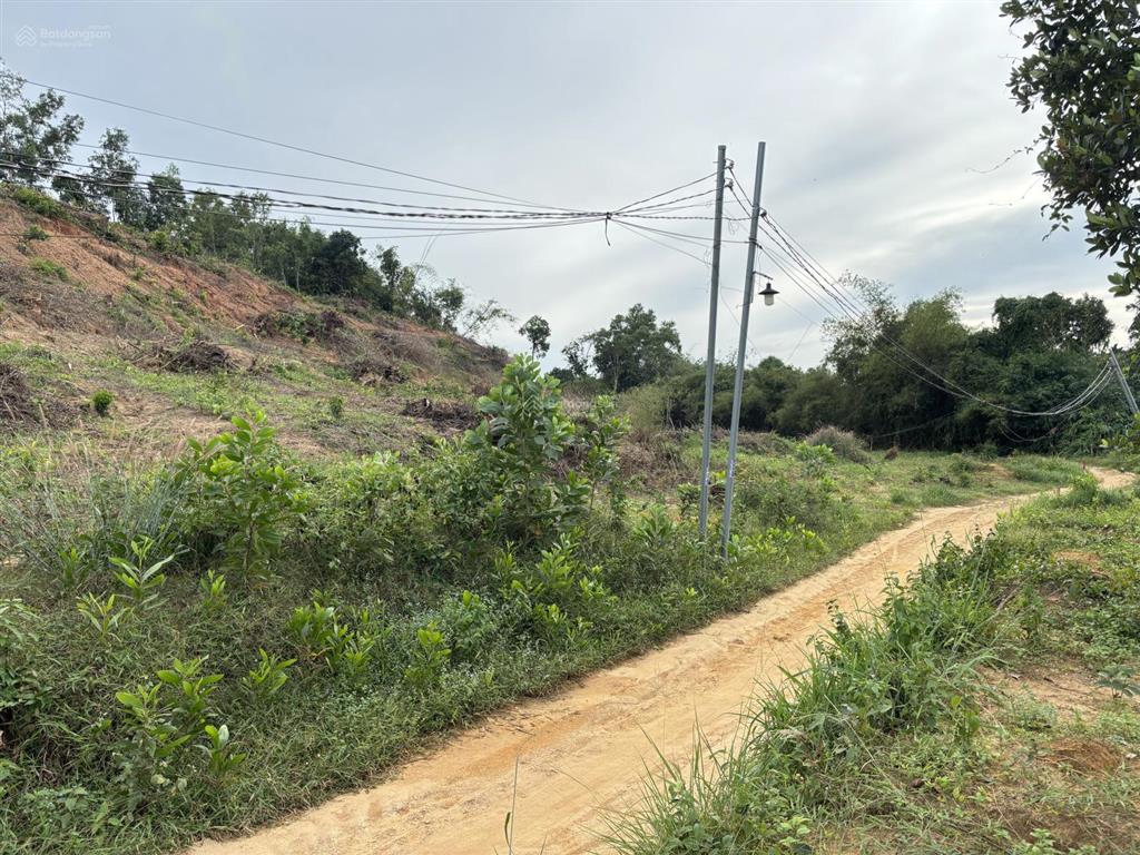 Bán 1ha4 đất đồi mặt tiền lý thái tổ xã nhơn trạch đồng nai quy hoạch thương mại dịch vụ.