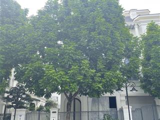 Biệt thự song lập rẻ nhất ocp1 sao biển 17, vài bước ra hồ biển mặn, 145.8m, mt 8.25m, đông nam