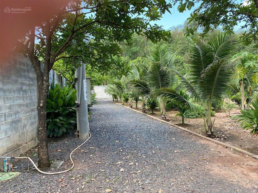 Bán xưởng 2,8ha, điện 250kva, phù hợp sản xuất và canh tác nông sản