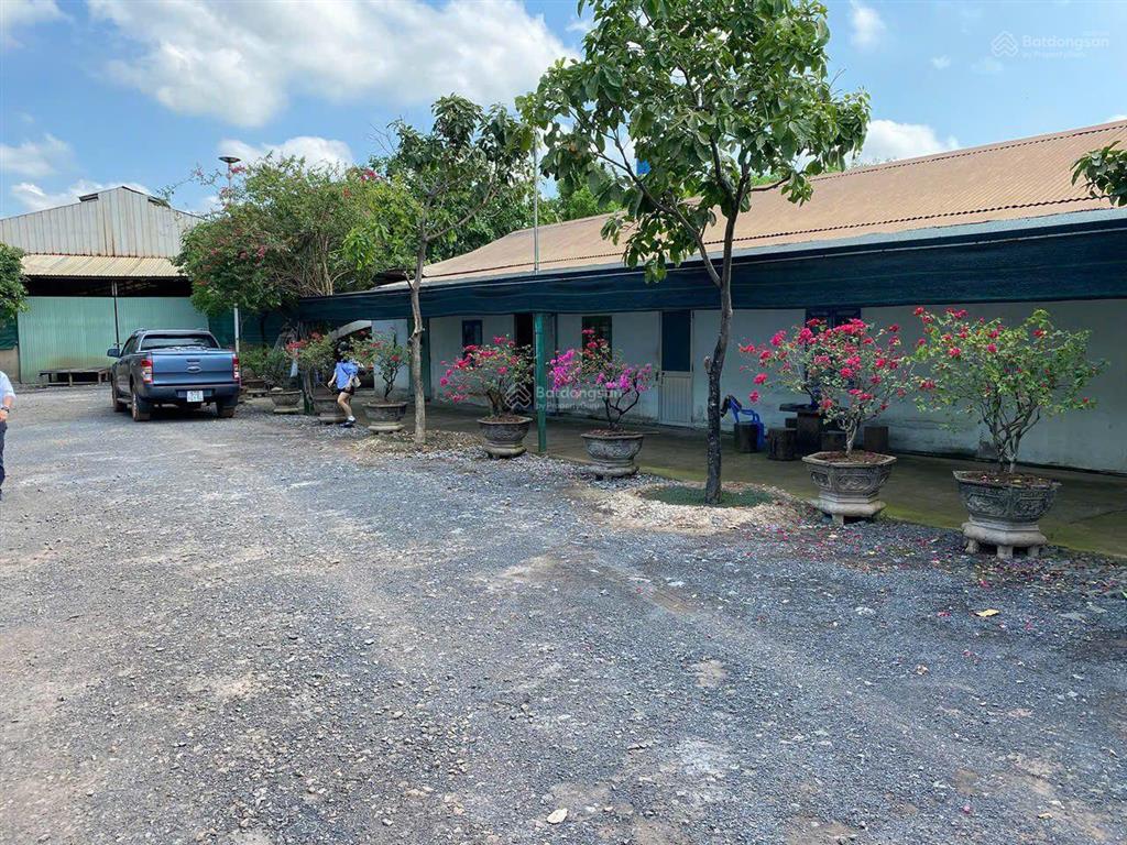 Bán xưởng 2,8ha, điện 250kva, phù hợp sản xuất và canh tác nông sản